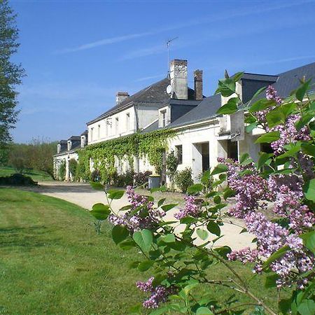 La Mesnagerie Bed & Breakfast Jarzé Dış mekan fotoğraf