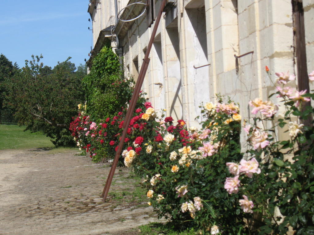 La Mesnagerie Bed & Breakfast Jarzé Oda fotoğraf