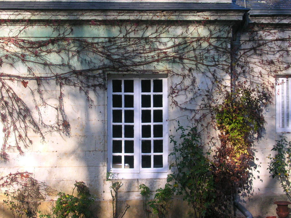 La Mesnagerie Bed & Breakfast Jarzé Dış mekan fotoğraf