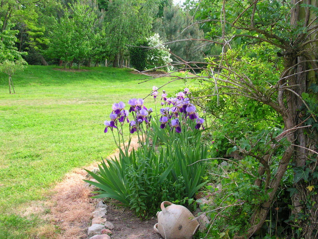 La Mesnagerie Bed & Breakfast Jarzé Oda fotoğraf